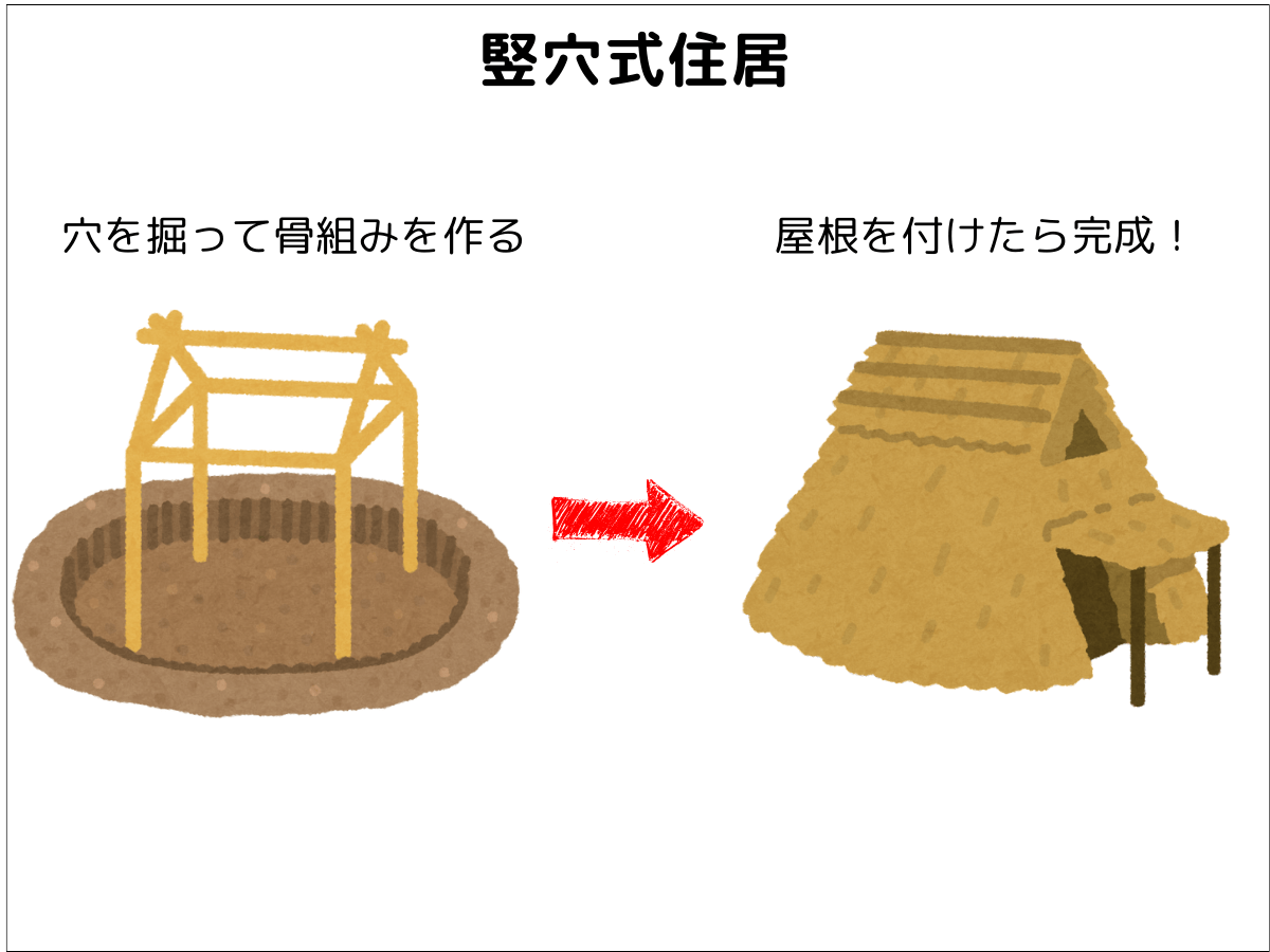 竪穴住居の構造イラスト：地面を掘って骨組みを作り、屋根をかけて完成