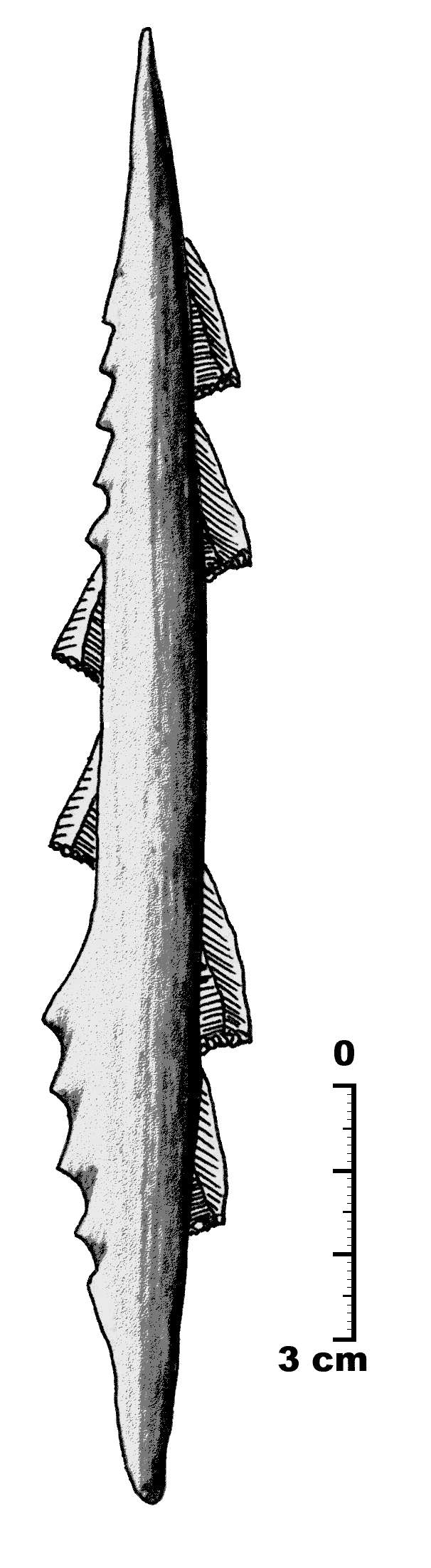 骨製のハープーンに細石器（幾何学形石器）を複数埋め込んだ複合道具の図。細石器は「替え刃」として骨や木の柄に装着して使われた。