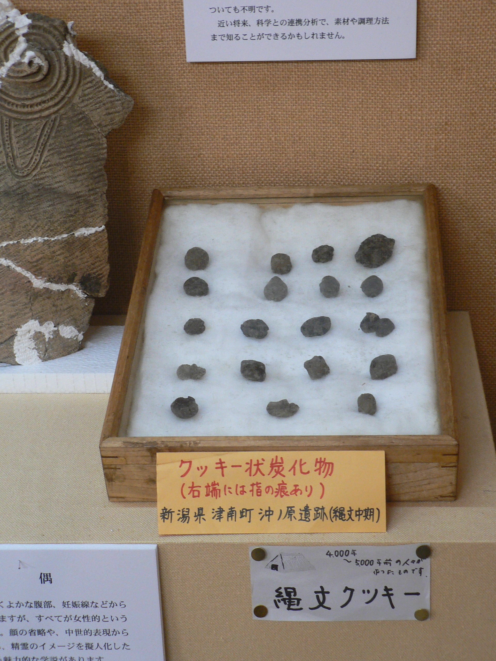 縄文クッキー（クッキー状炭化物）沖ノ原遺跡出土