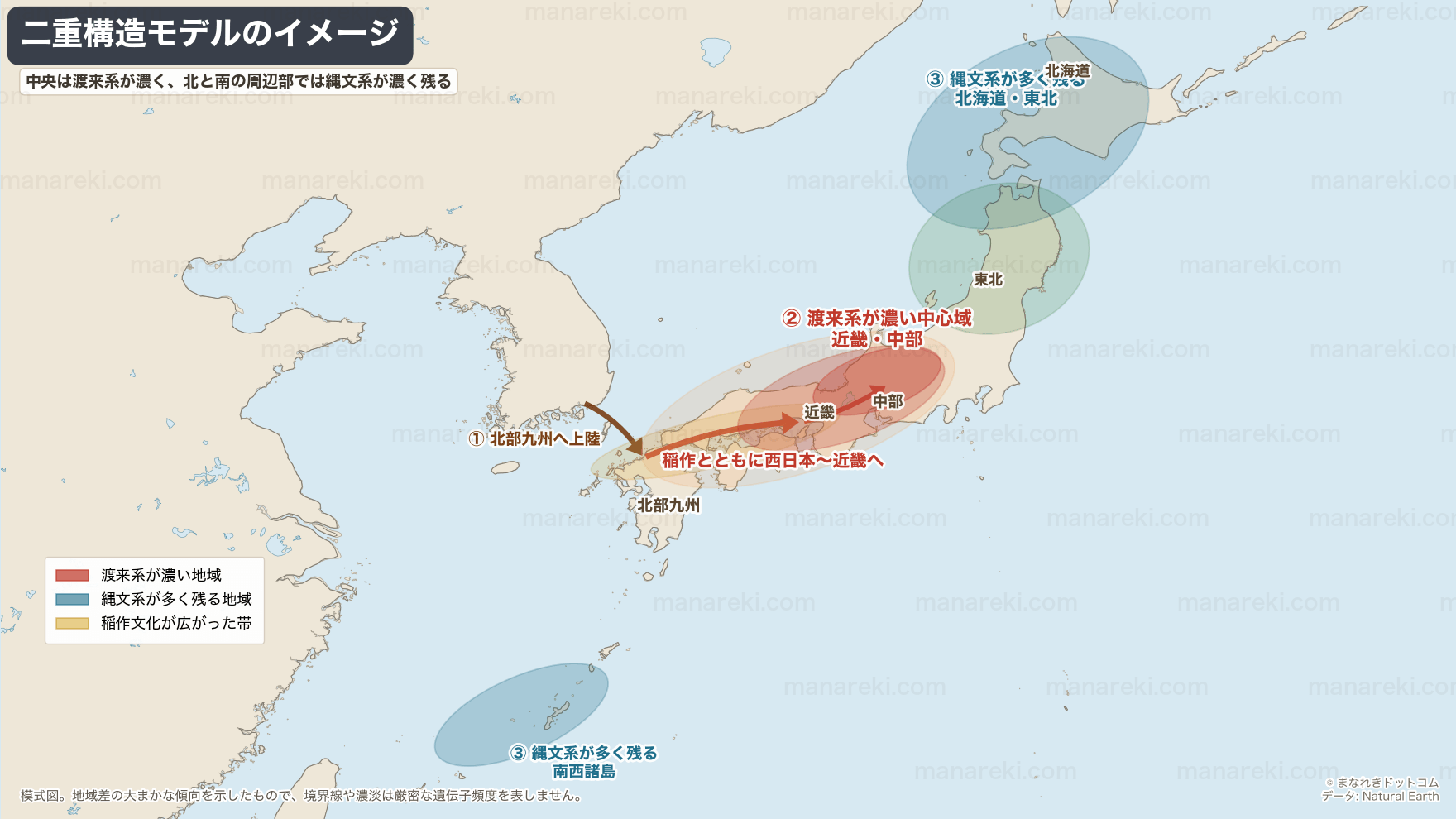日本人の起源を示す系統図（縄文人・弥生系渡来人・古墳系渡来人の三重構造モデル）