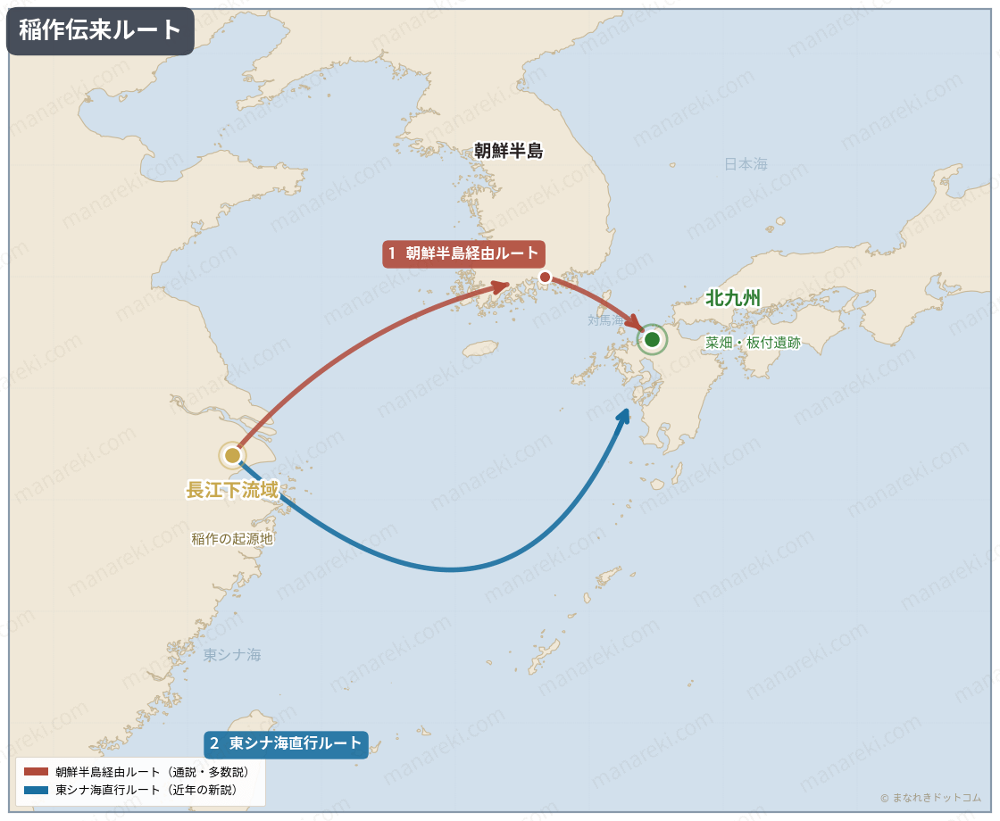 稲作伝来ルート（朝鮮半島経由ルートと東シナ海直行ルート）