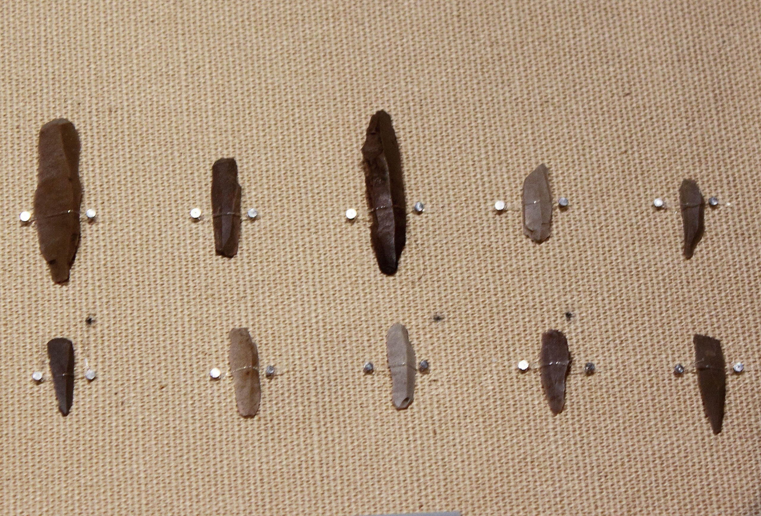 約1万6000年前（旧石器時代後期）の細石器。新潟県出土、東京国立博物館所蔵。小さな刃状の石器を骨や木に組み込んで使用した。