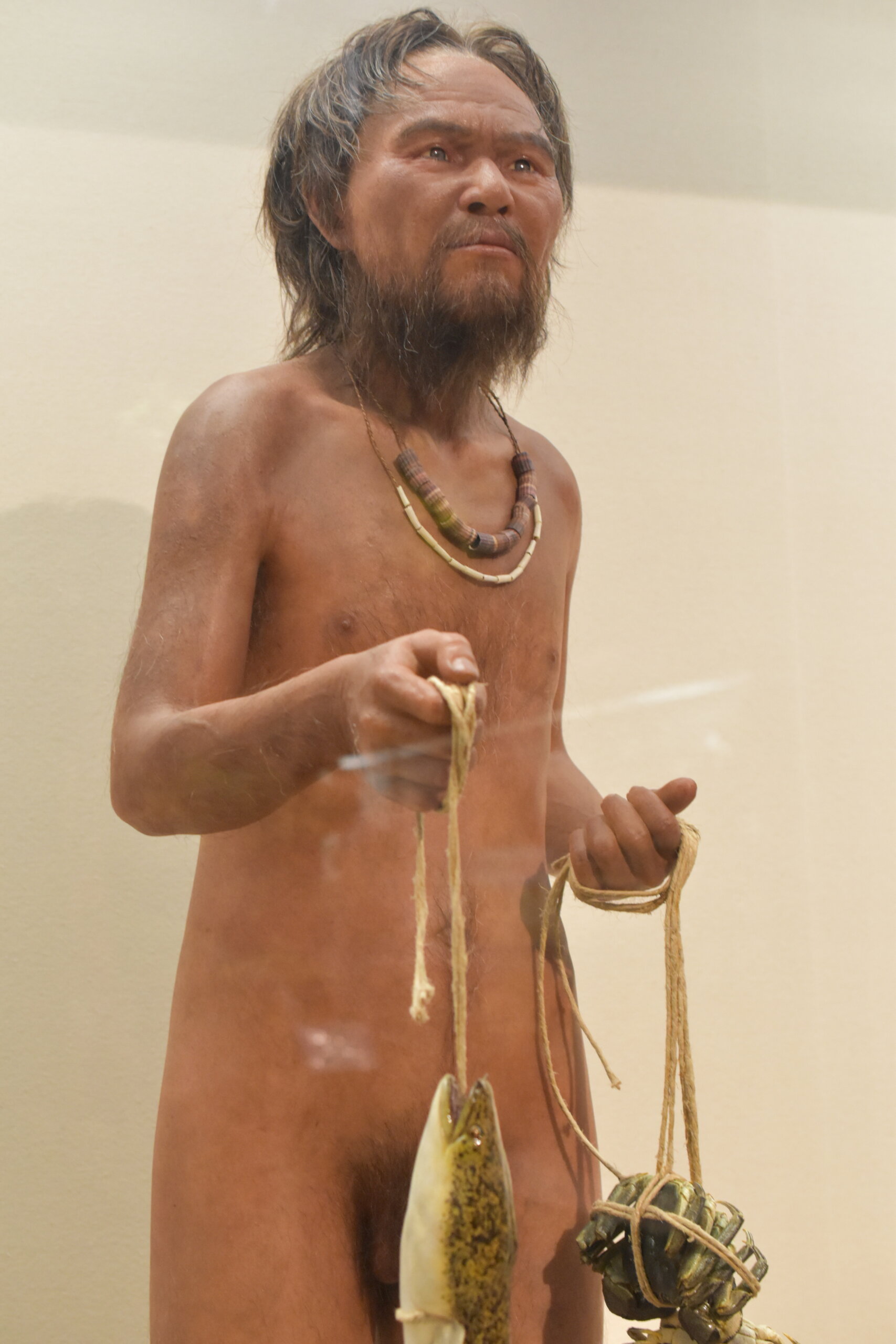 沖縄県立博物館・美術館に展示された港川人の骨格（2026年）