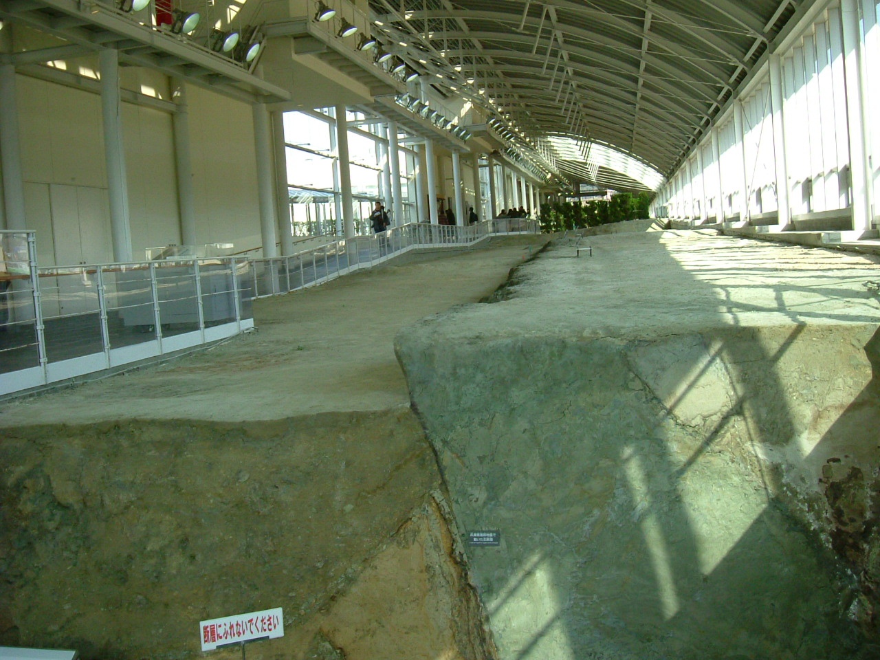野島断層保存館に展示された断層断面の写真