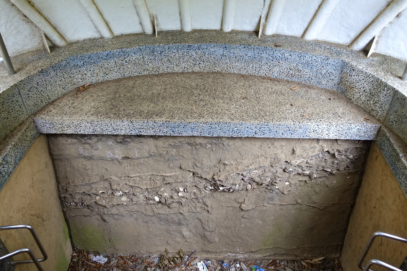 大森貝塚遺跡庭園内の発掘調査現場（東京都品川区）