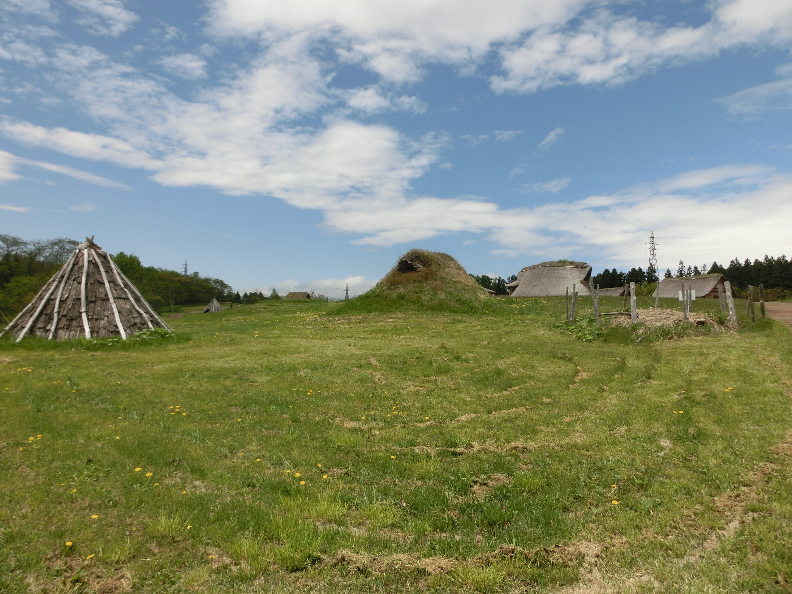 三内丸山遺跡で復元された複数の竪穴住居