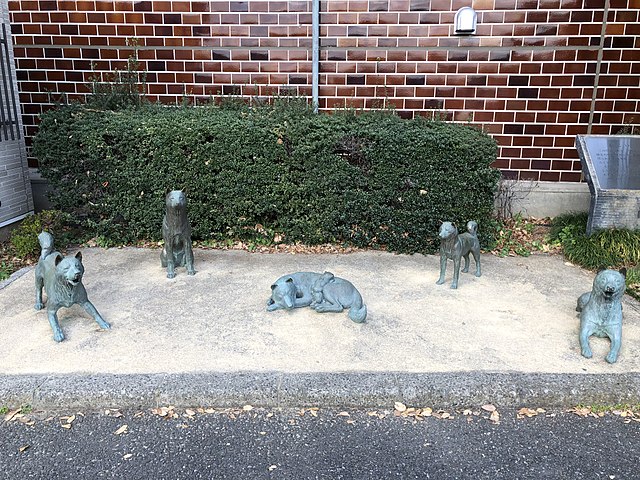 中野お囲いの犬の像「かこい」（東京都中野区）
