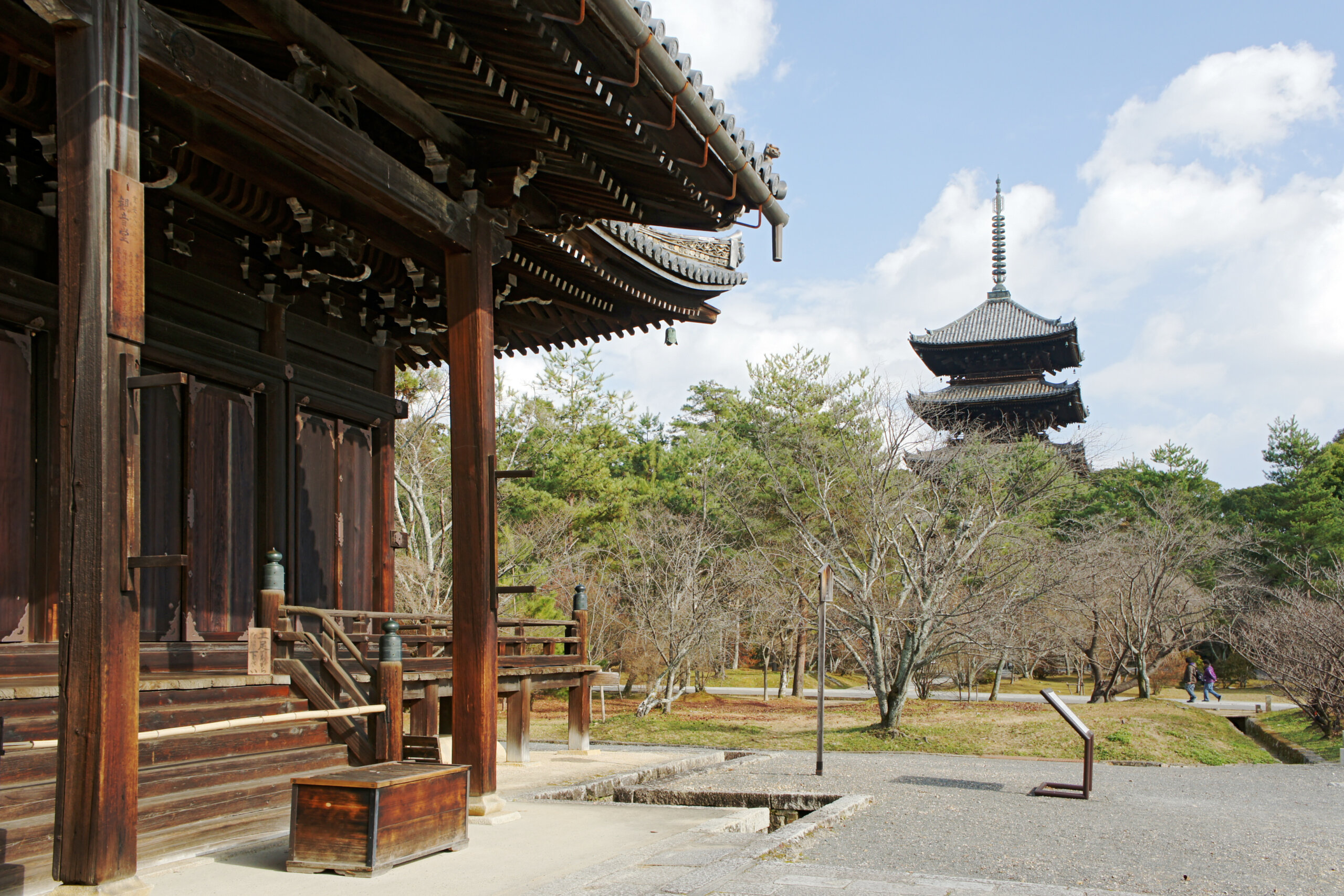 仁和寺の御室桜