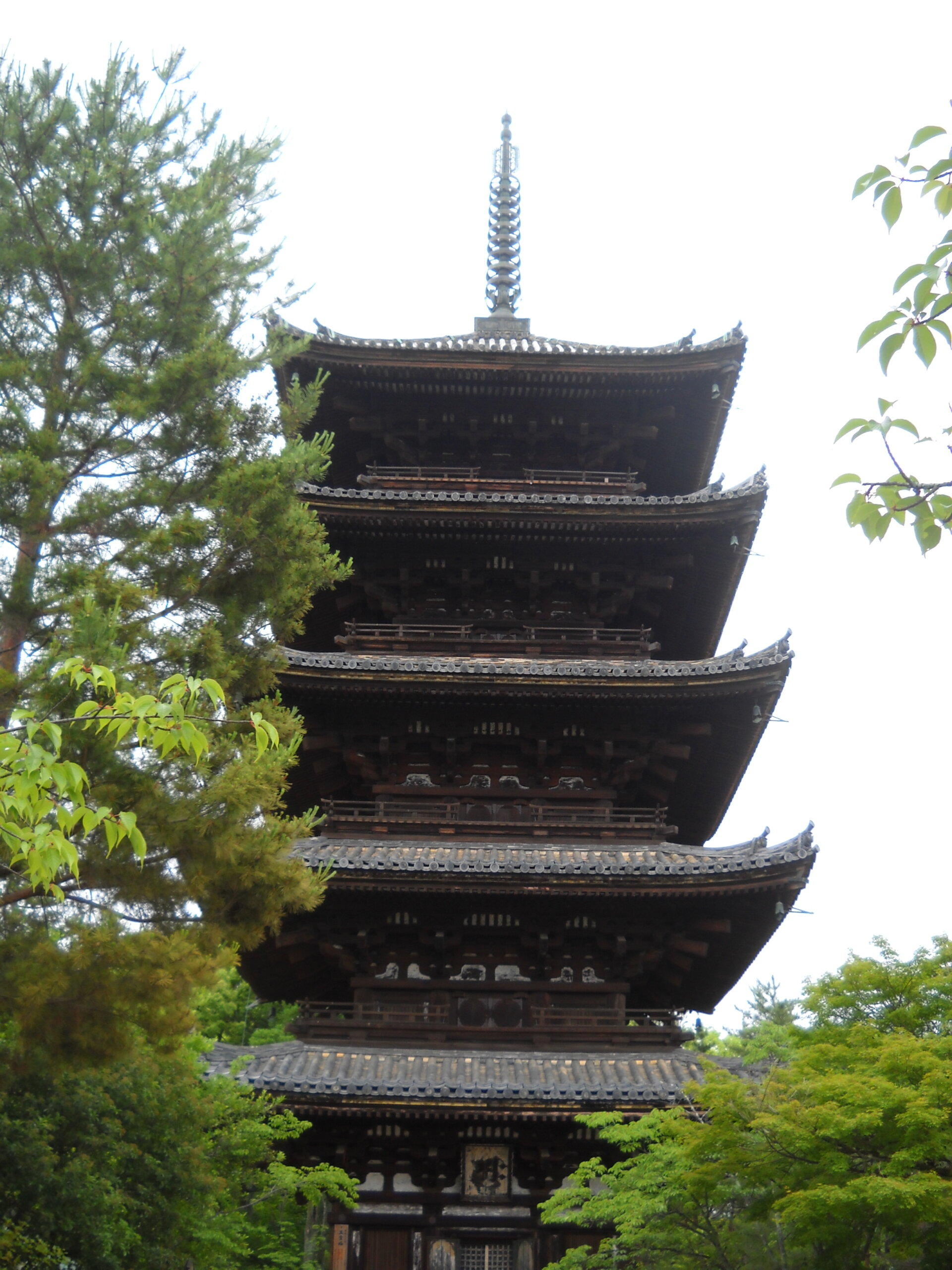 仁和寺の五重塔