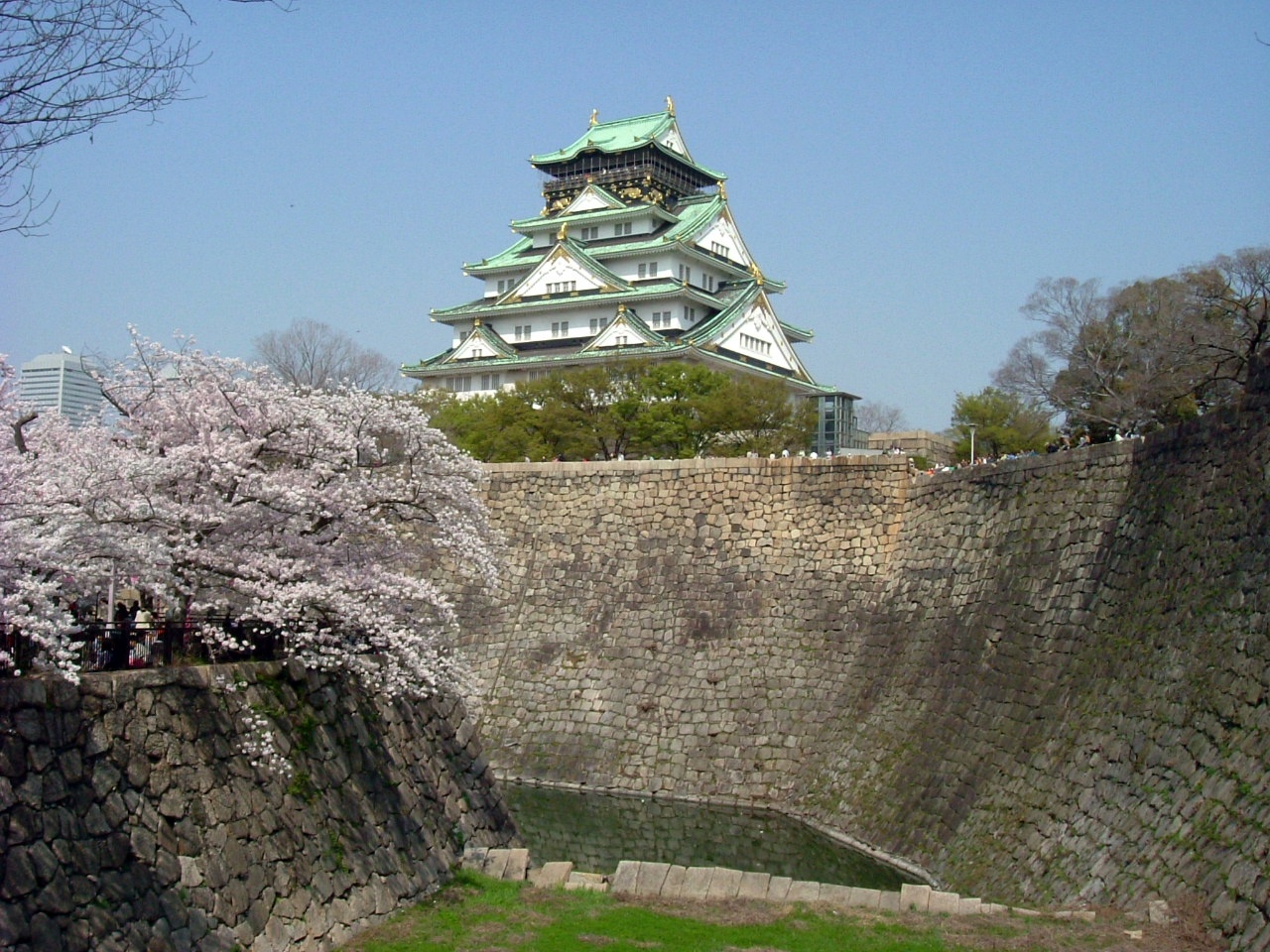 大阪城公園の桜と天守閣(春の絶景)
