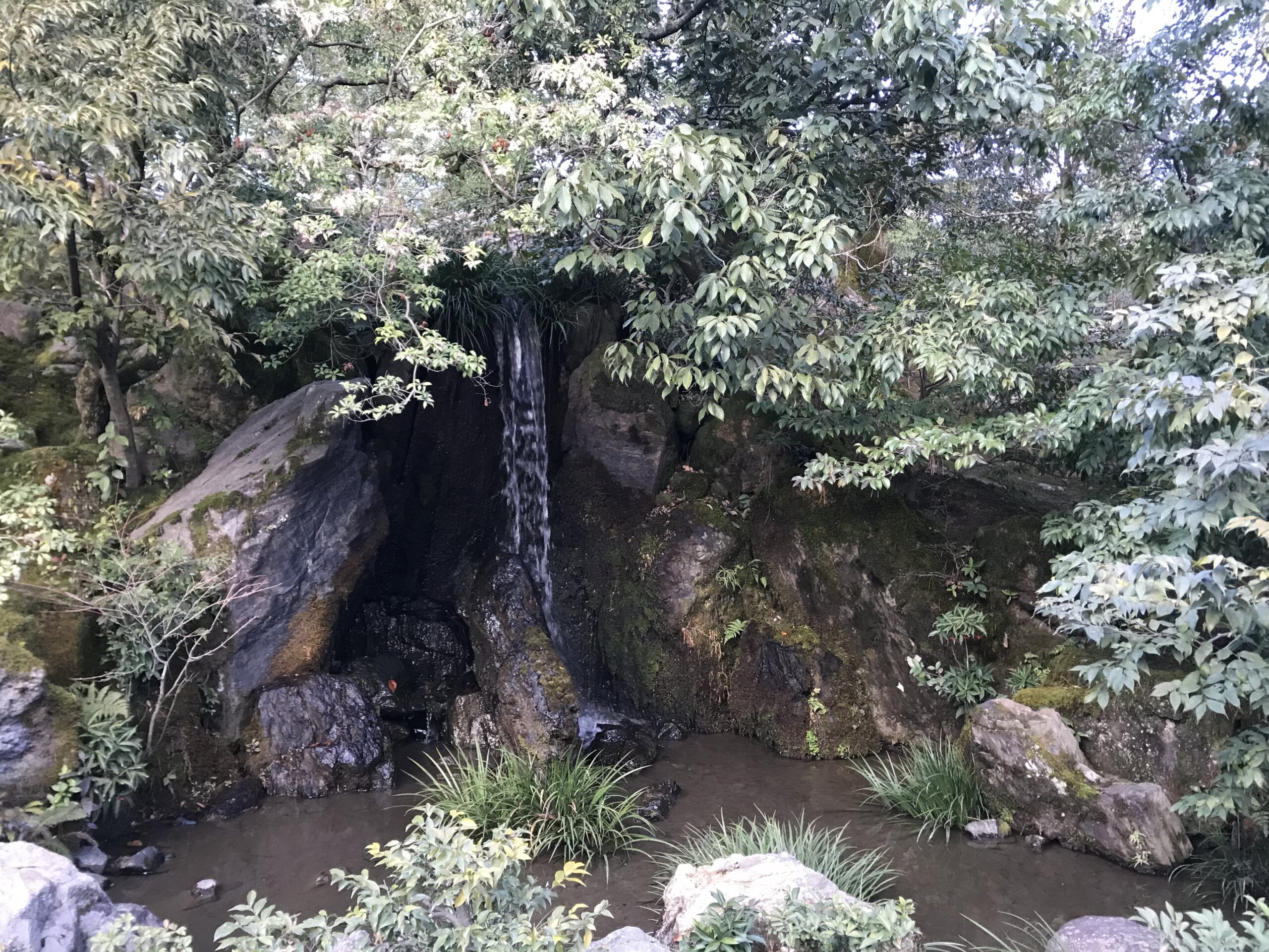龍門の滝と鯉魚石(鹿苑寺)