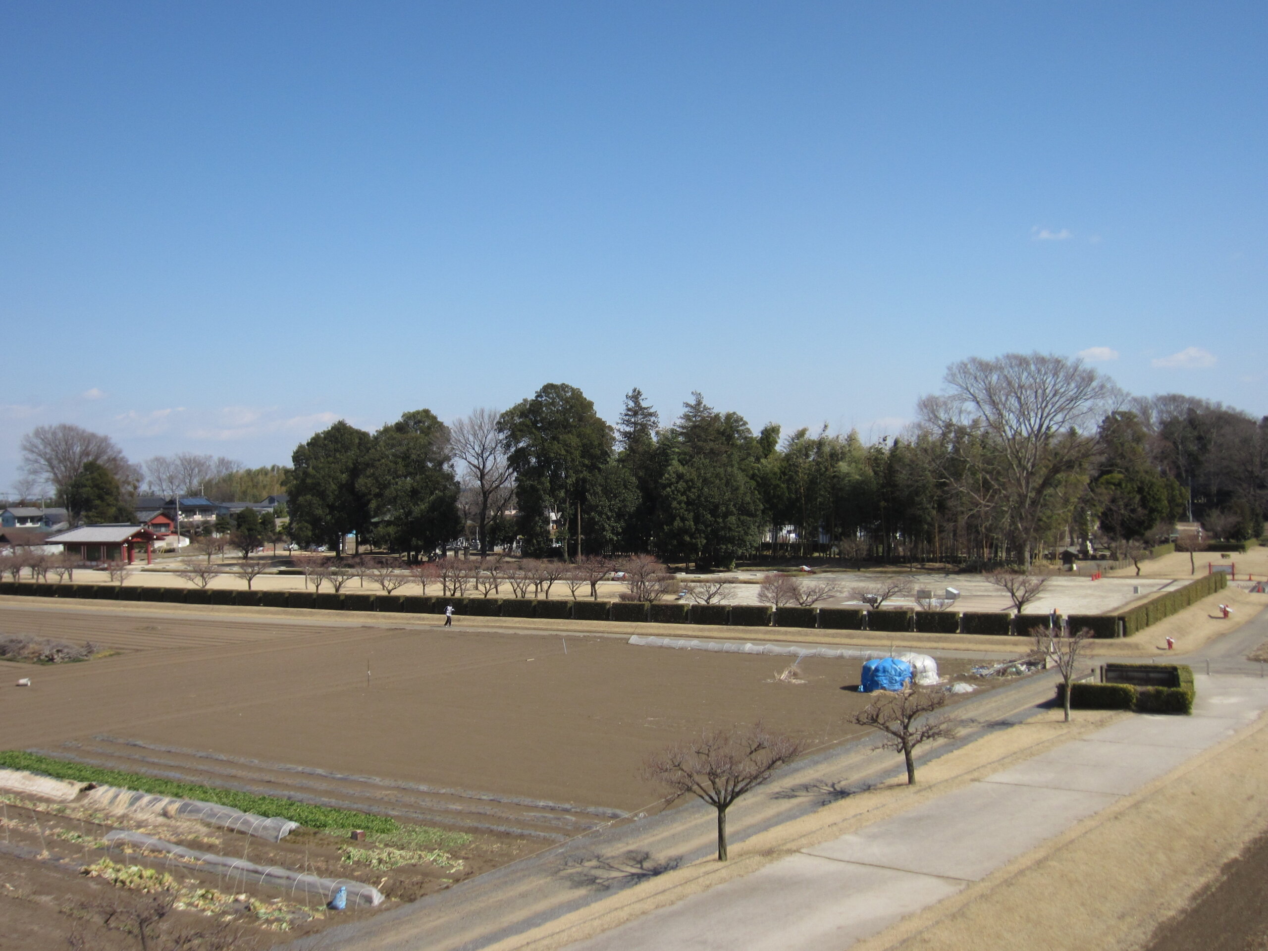 下野薬師寺跡(栃木県下野市)遠景