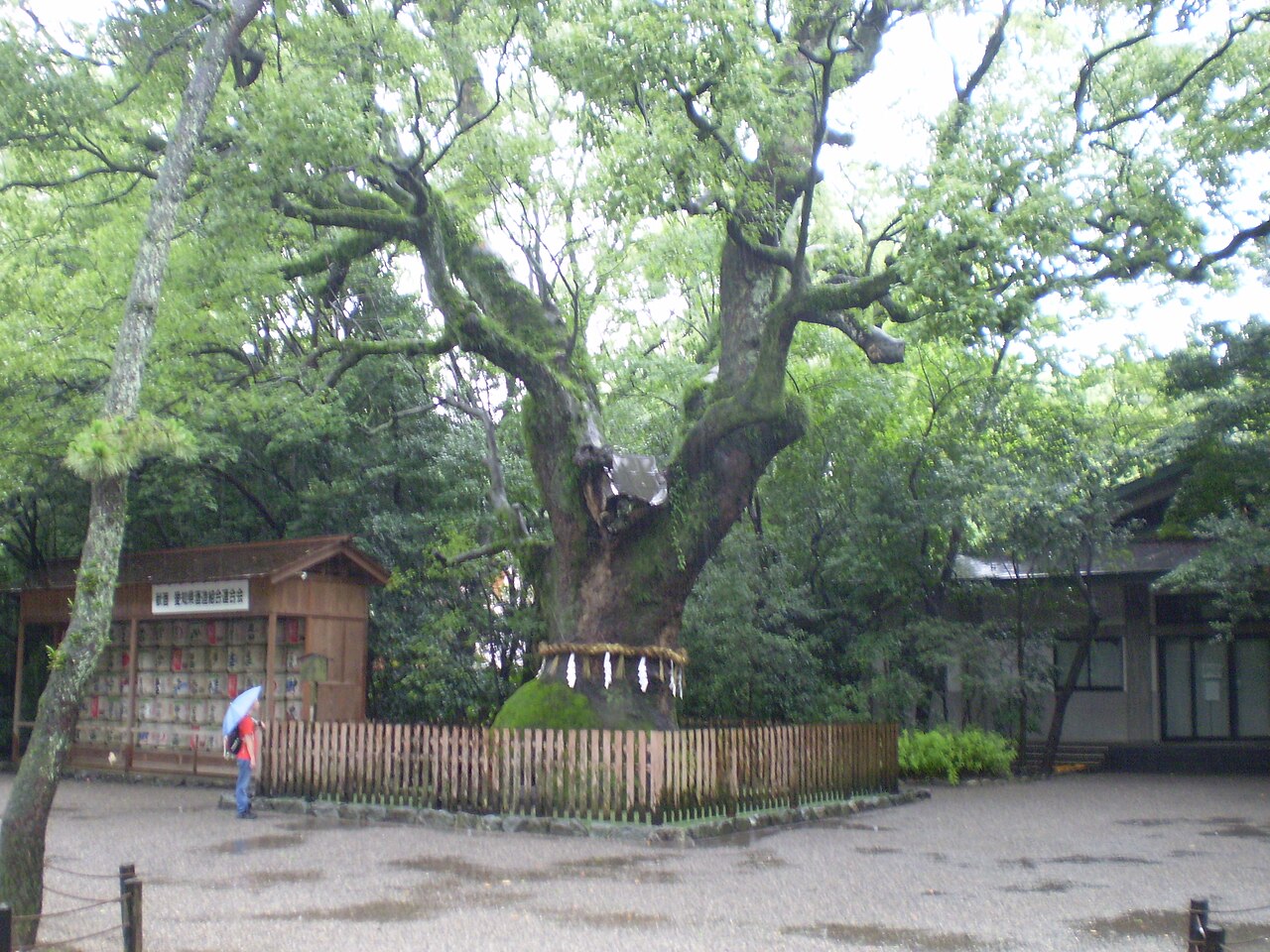 熱田神宮の大楠(弘法大師お手植え)