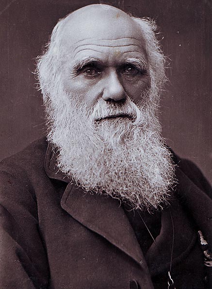 チャールズ・ダーウィン 1881年