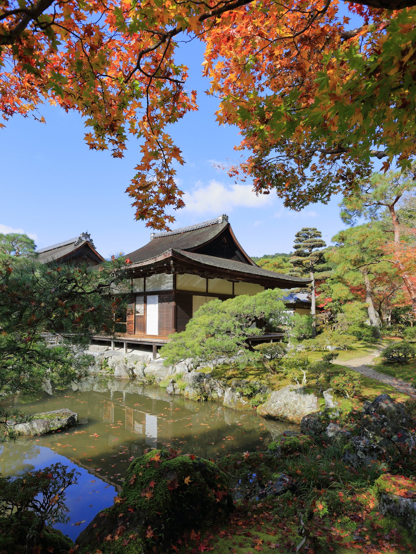 東求堂(とうぐどう)秋の紅葉