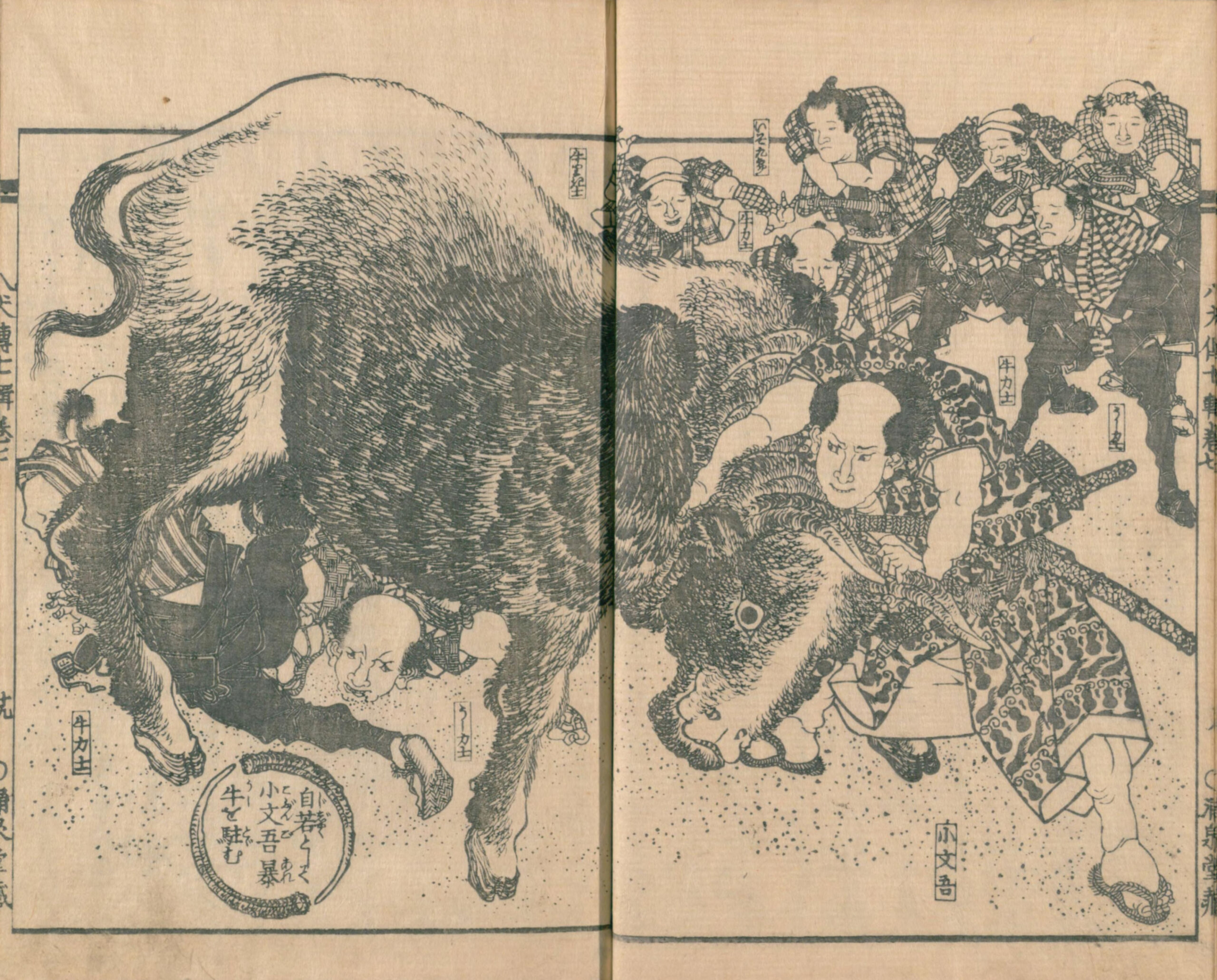 南総里見八犬伝の浮世絵挿絵（柳川重宣・江戸時代）