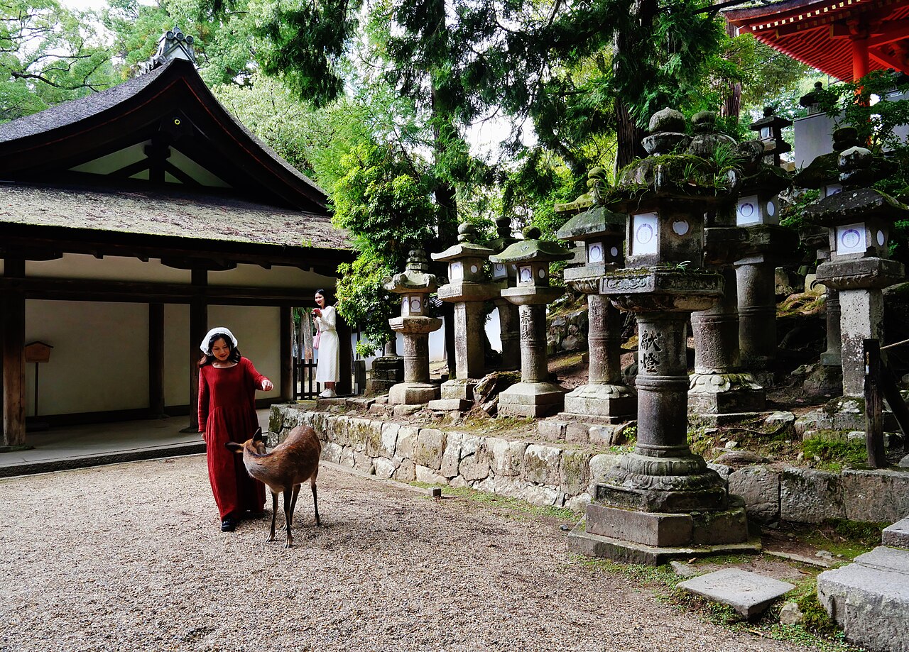 春日大社の参道に並ぶ石燈籠と神鹿