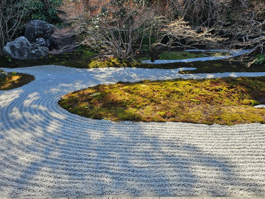 建仁寺の苔におおわれた中庭