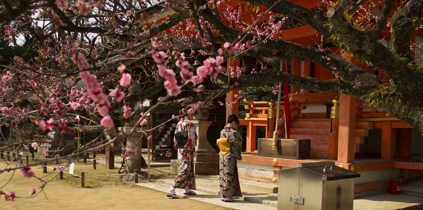 北野天満宮 梅苑「花の庭」