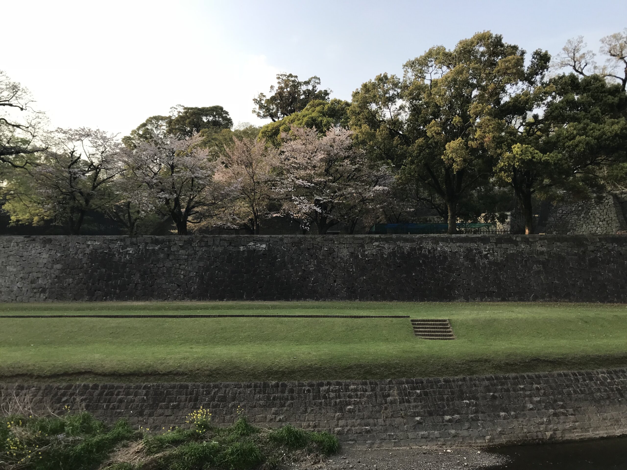 坪井川越しに望む熊本城の長塀