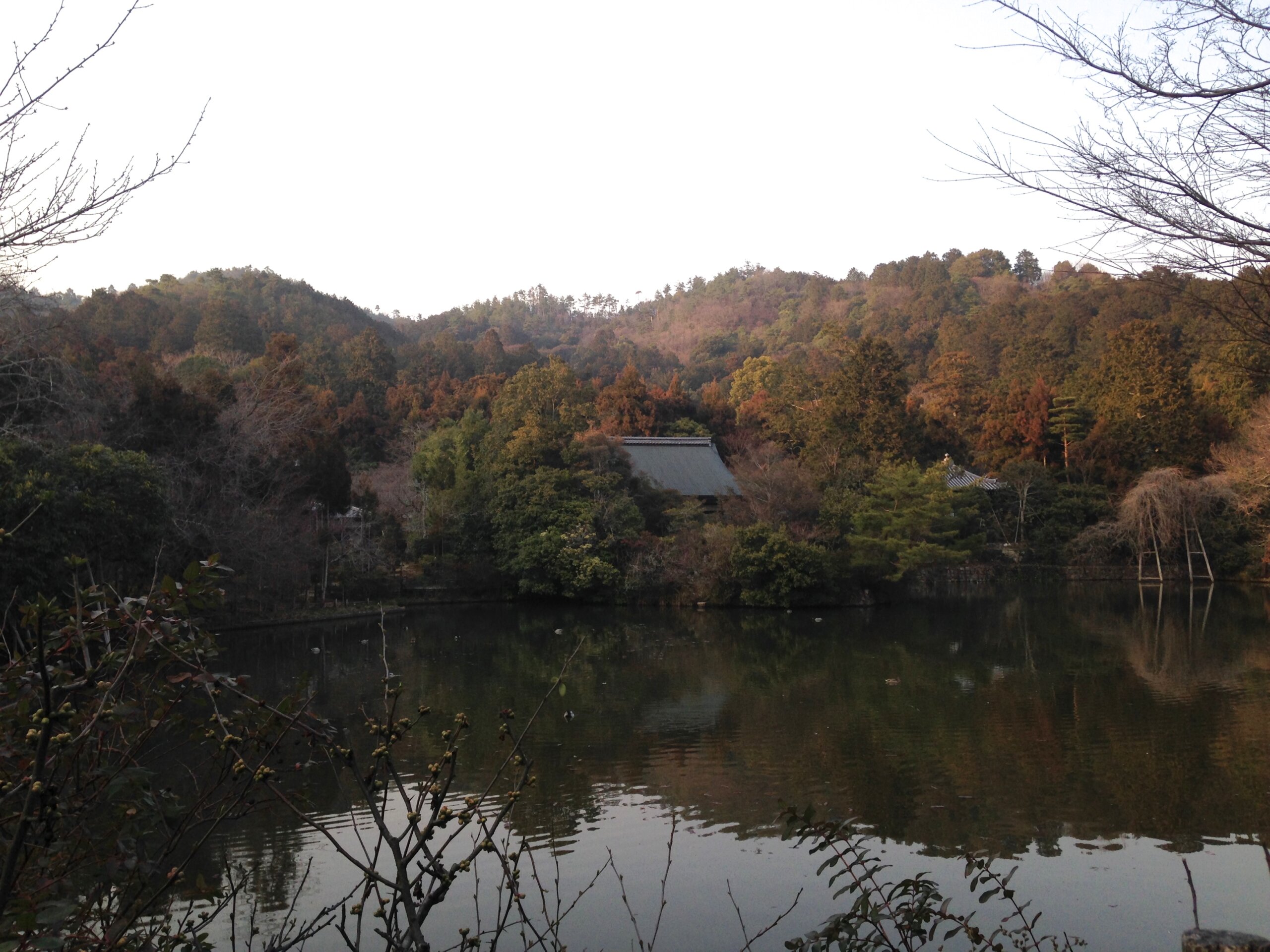 龍安寺の鏡容池（きょうようち）——蓮の花と紅葉が美しい庭園の池