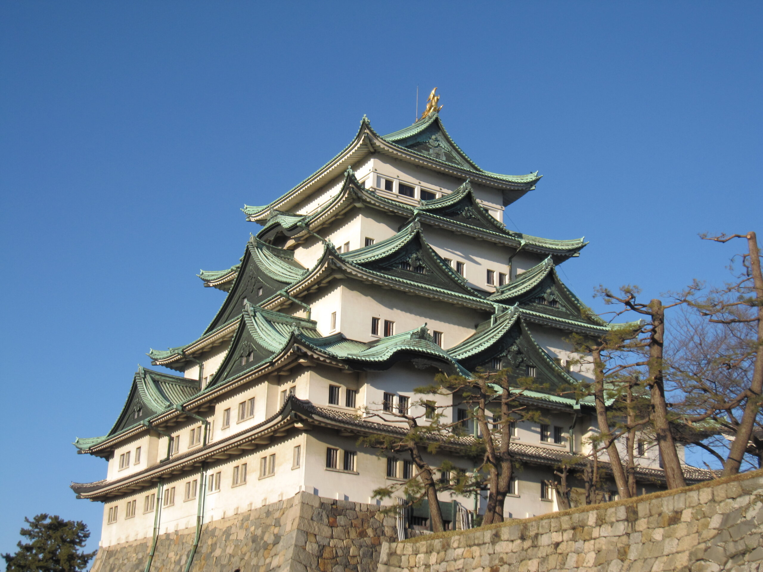 名古屋城の天守と金鯱