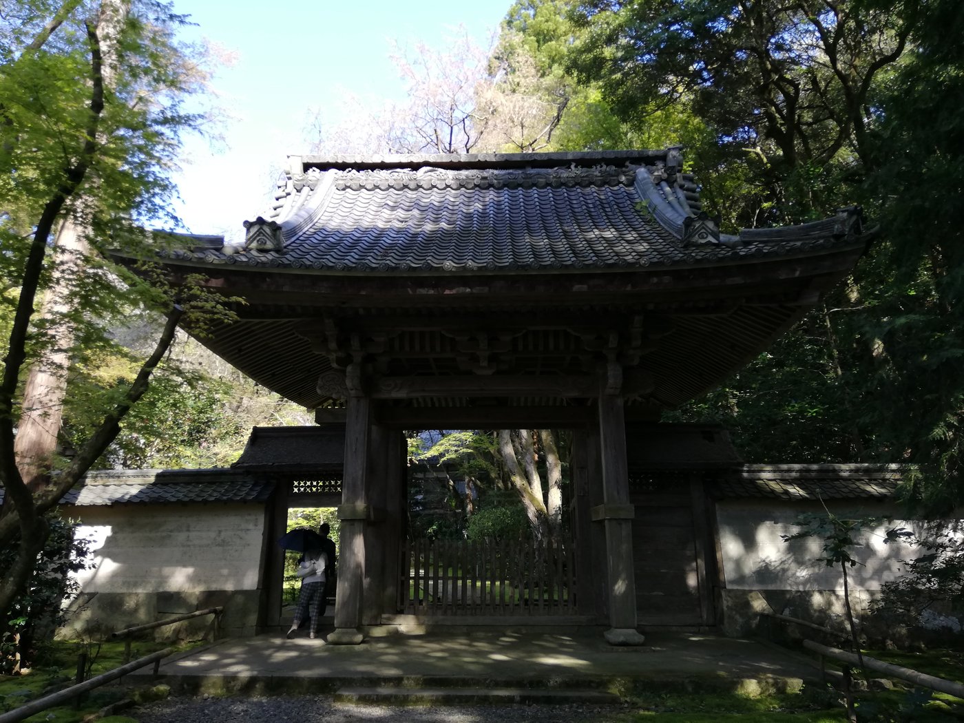 龍潭寺（彦根市）の境内