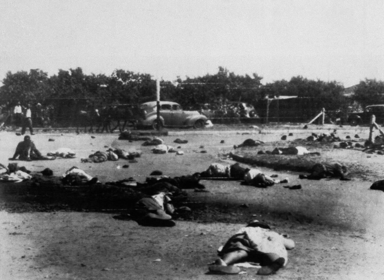 1960年シャープビル虐殺事件の現場写真