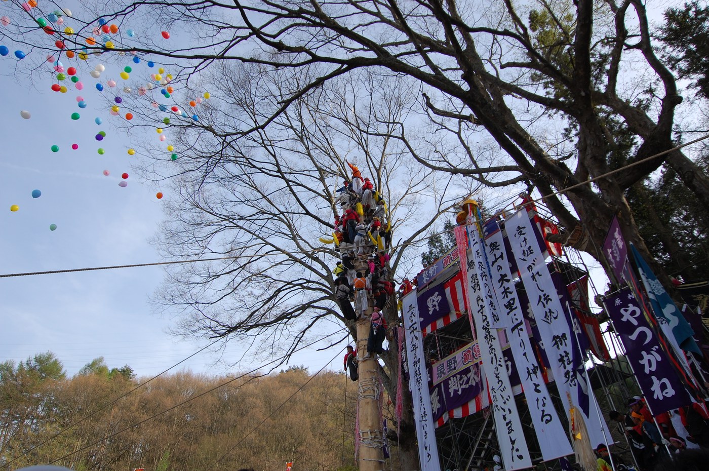 御柱祭 建て御柱の様子