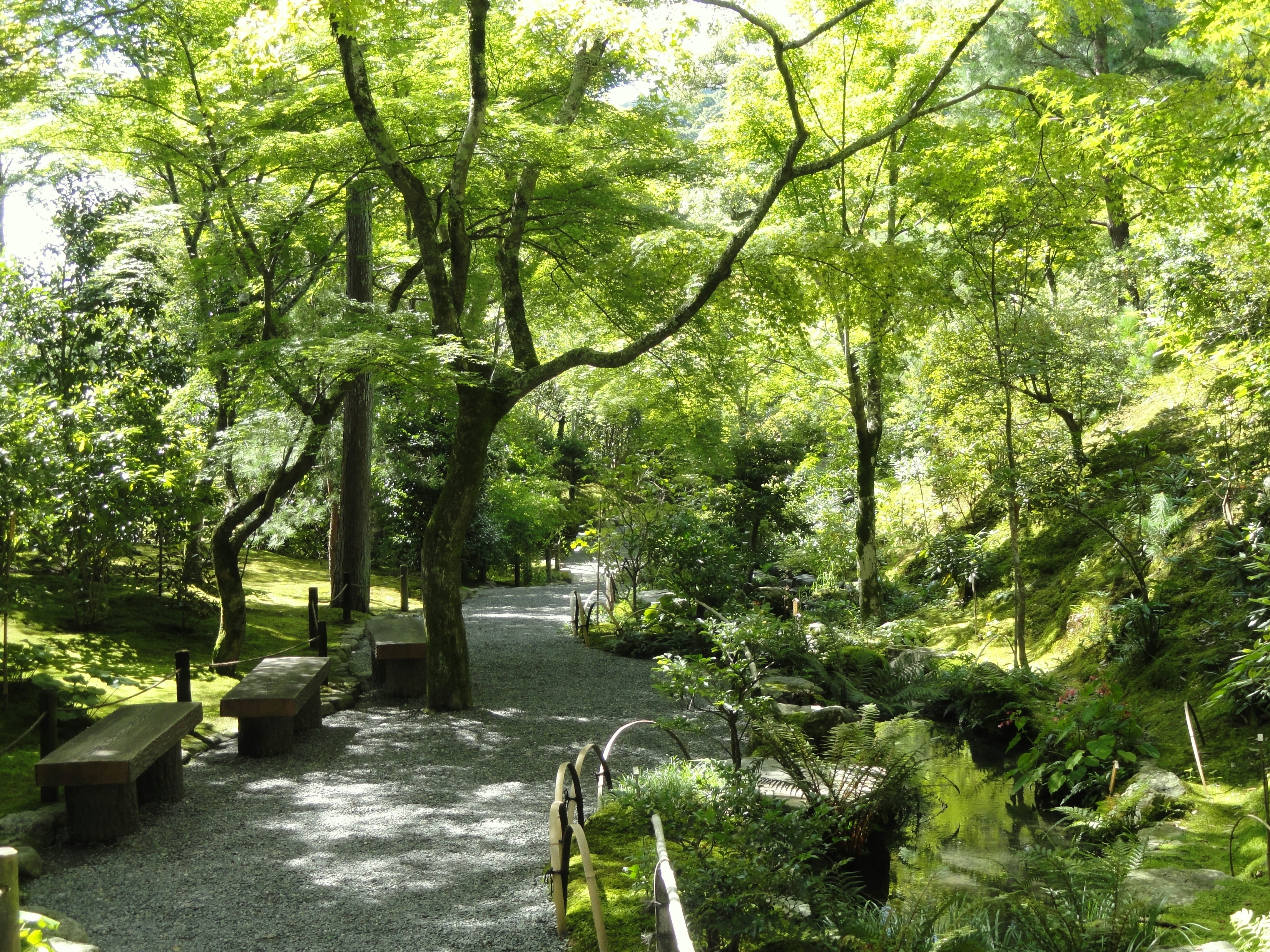 天龍寺の庭園と法堂前