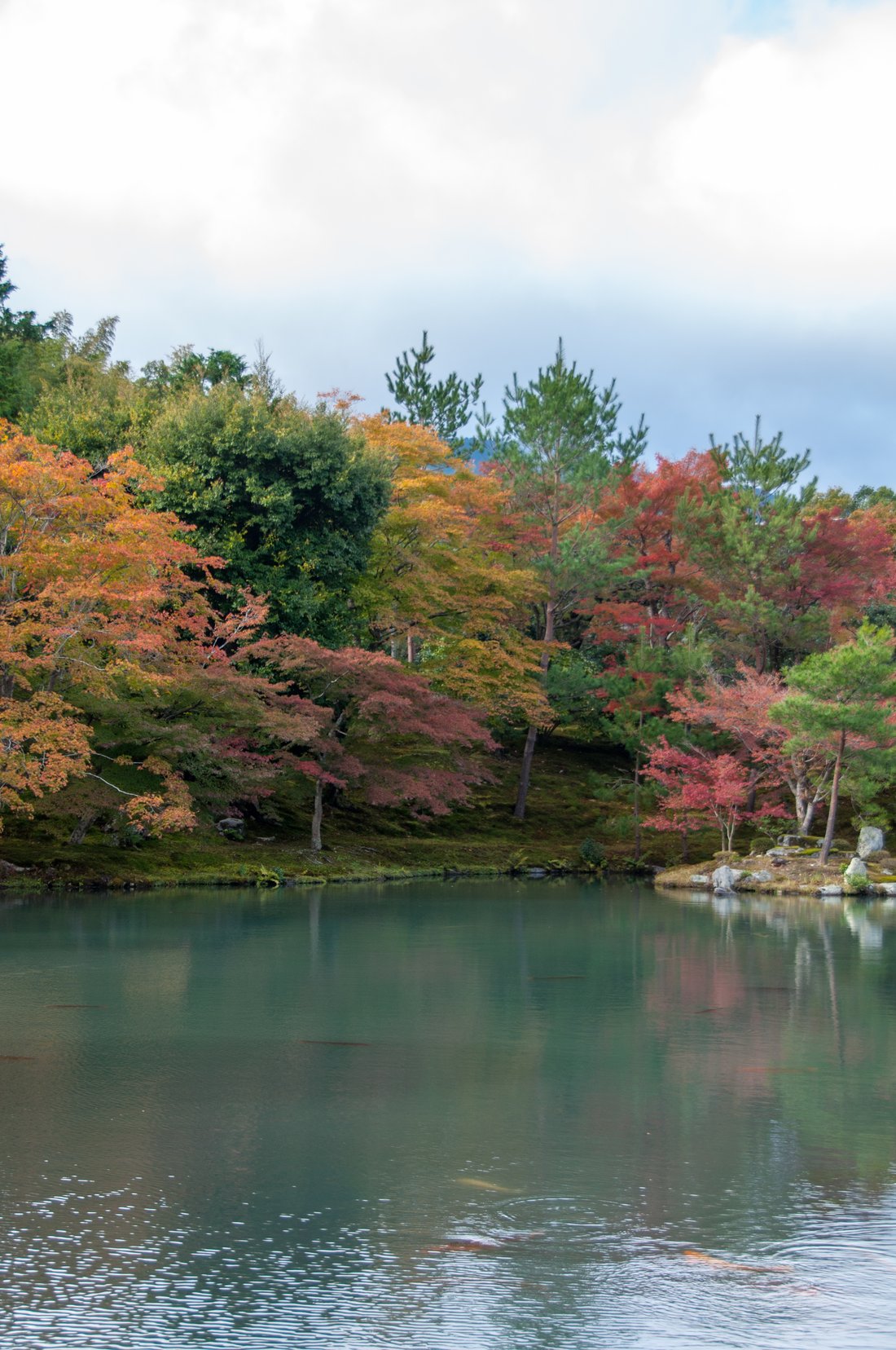 天龍寺の紅葉