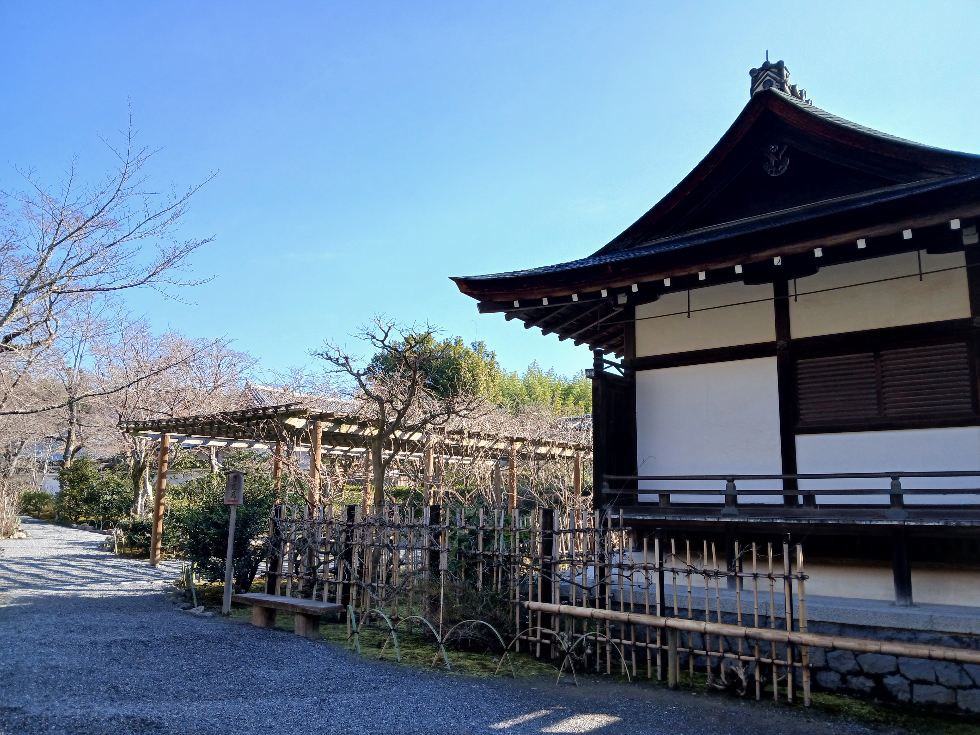 天龍寺の境内（2025年3月）
