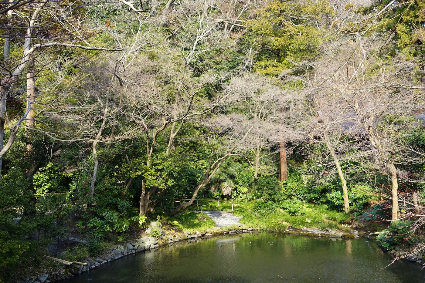 鶴岡八幡宮・源平池の風景